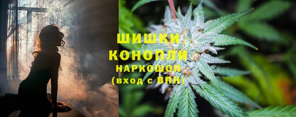 прущая мука Магас