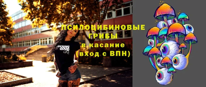 shop клад  Брянск  Псилоцибиновые грибы Cubensis 