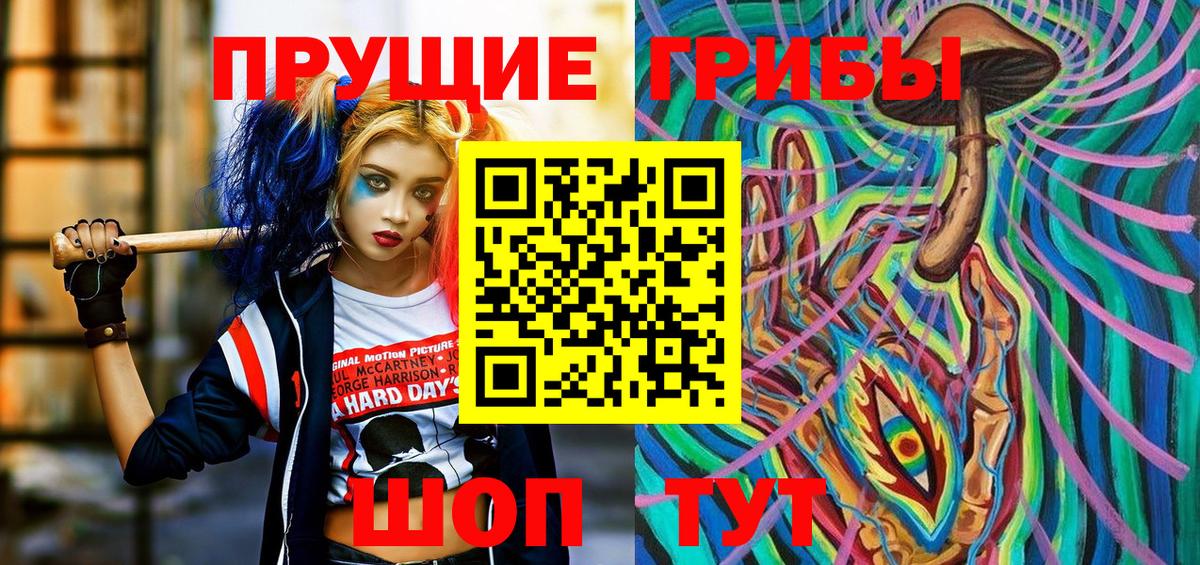 Псилоцибиновые грибы прущие грибы  Брянск 