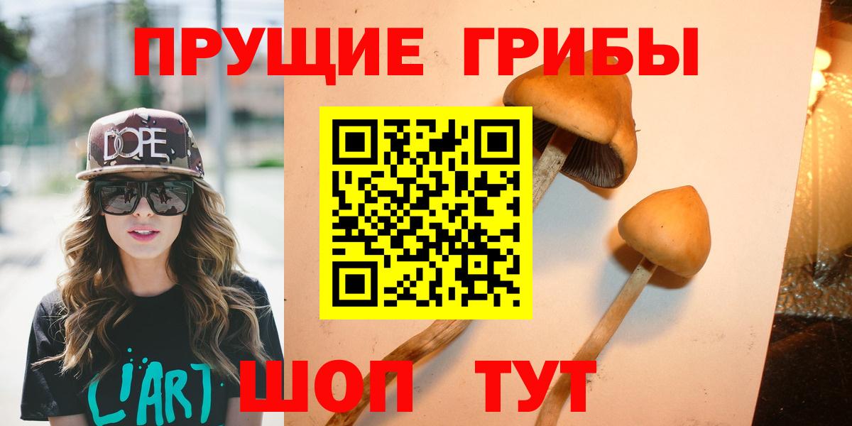 Брянск  купить   Вход с VPN  Галлюциногенные грибы Magic Shrooms 