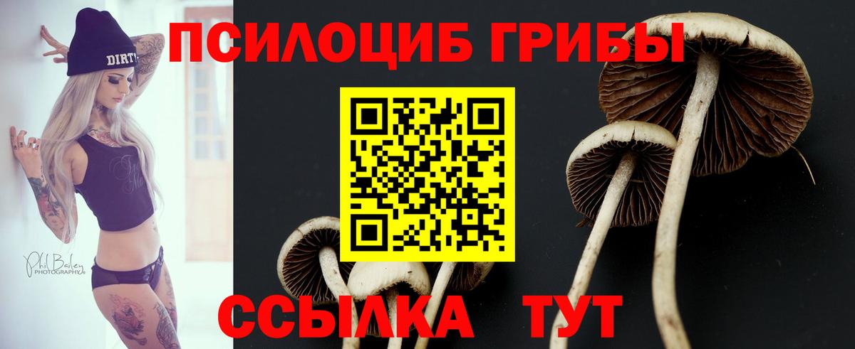 Псилоцибиновые грибы Magic Shrooms Брянск
