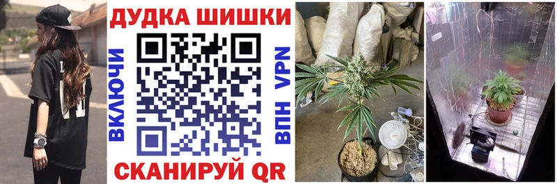 MEGA рабочий сайт Брянск Бошки Шишки AK-47